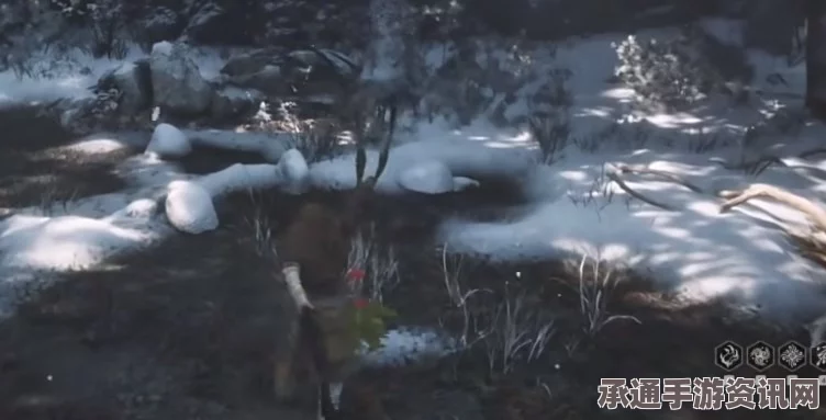 黑神话悟空，铁骨银参的获取方法与技巧解析