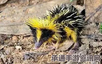爱尔兰男子走私鹰隼蛋遭遇挫败，四颗蛋中仅一颗存活，探讨走私防范与珍稀物种保护策略