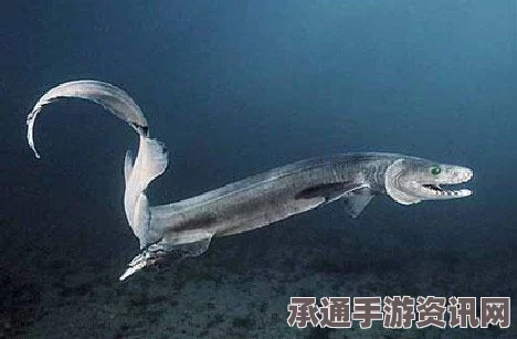 爱尔兰男子走私鹰隼蛋遭遇挫败，四颗蛋中仅一颗罕见存活—关于走私防范与保护珍稀物种的技巧方法