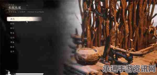 黑神话悟空珍玩金棕衣获取攻略及技巧方法详解