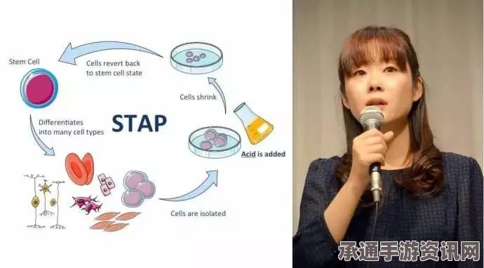 日本学术女神小保方晴子新书揭秘，学术造假的背后故事与科研技巧方法详解