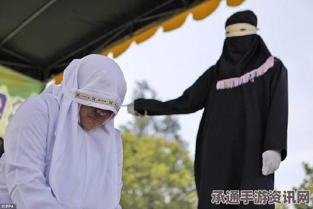 沙特男子携带酒类过海关风险解析与应对技巧探讨，鞭刑风险及处理方法