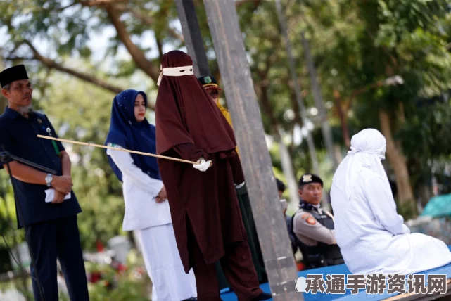 沙特男子身藏酒类过海关被捉，面临鞭刑风险及应对技巧方法探讨