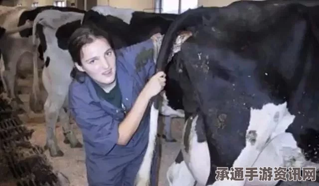 美国公牛精液盗窃案揭秘，价值背后的技巧与方法探讨