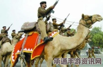 印度共和国日阅兵现场精彩瞬间高清组图，军犬骆驼引人注目