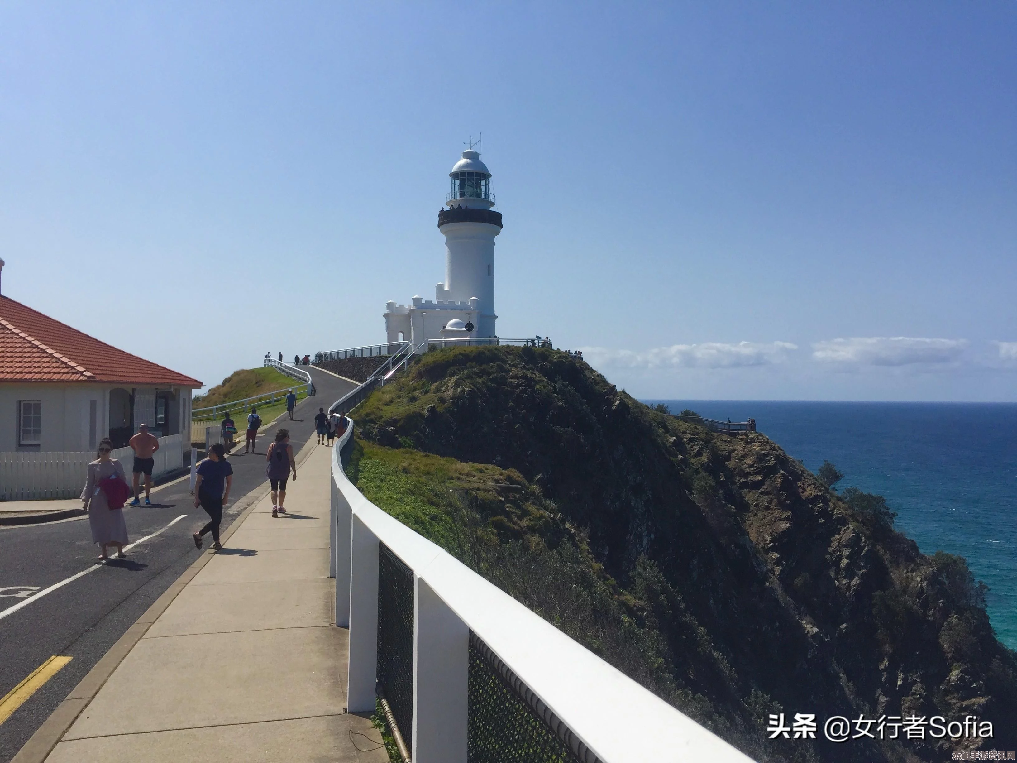 澳大利亚墨尔本袋鼠遭虐杀事件调查纪实（图）