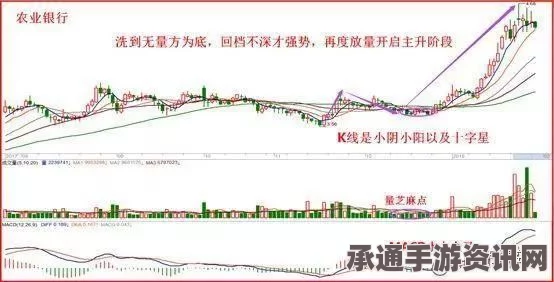 阿根廷大规模蝗灾挑战，应对与防治策略探究