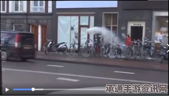 荷兰青年对华人奶粉发起袭击背后的动因及应对策略