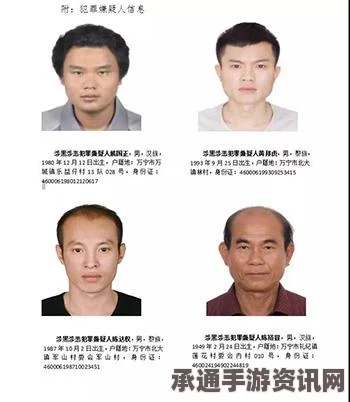 杀手2全关卡图文攻略，细致解析刺杀方案与通关秘籍