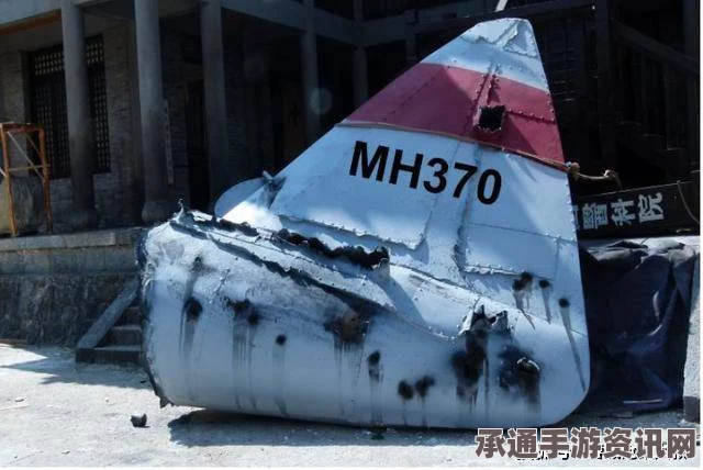 泰国马来西亚携手调查，确认残骸是否属于MH370航班—方法与技巧详解