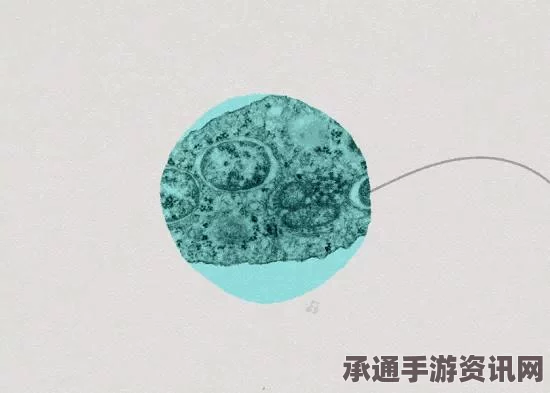 寨卡病毒，认识、防范与应对策略