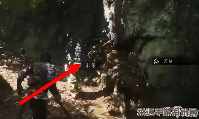 黑神话悟空，龙胆种子获取攻略与技巧详解