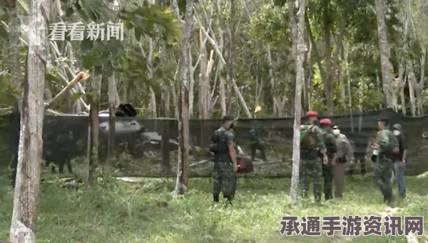 泰军直升机在养鸡场附近的紧急降落事件，现场直击与应对技巧