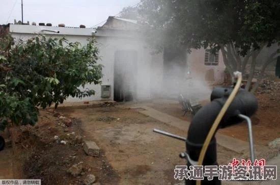 纽约发现寨卡病毒携带者，旅行中的健康防护技巧