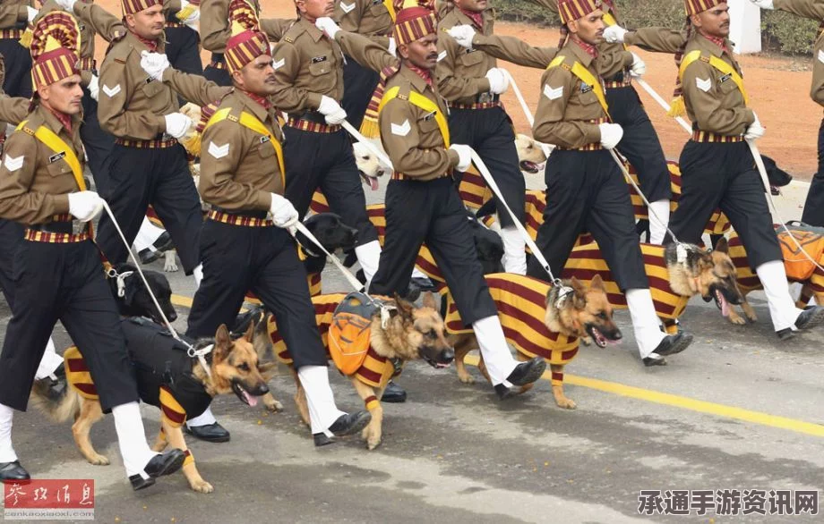 印度盛大阅兵式，动物参与的特色与独特技巧详解