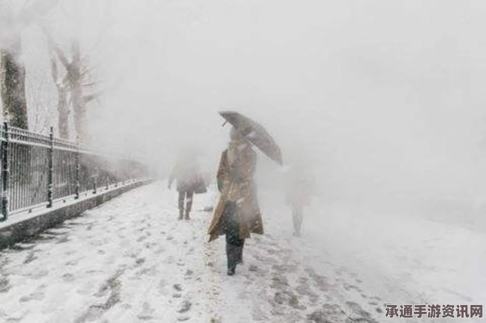 美国遭遇怪兽级暴风雪，暴风雪离境造成重大损失，如何应对极端天气？