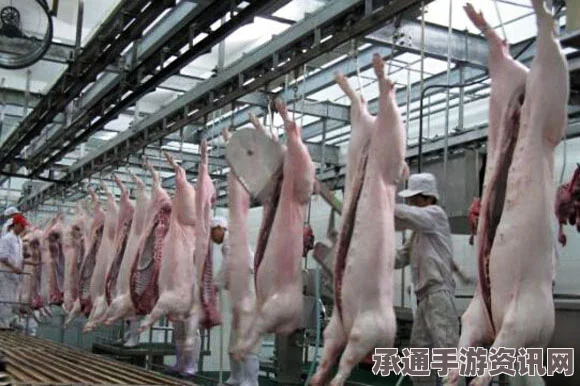 曝沙特屠宰场宰杀骆驼前的棍刑，传统屠宰方式的争议与探讨
