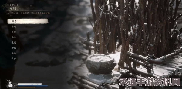 黑神话悟空，兽与佛获取攻略及技巧深度解析