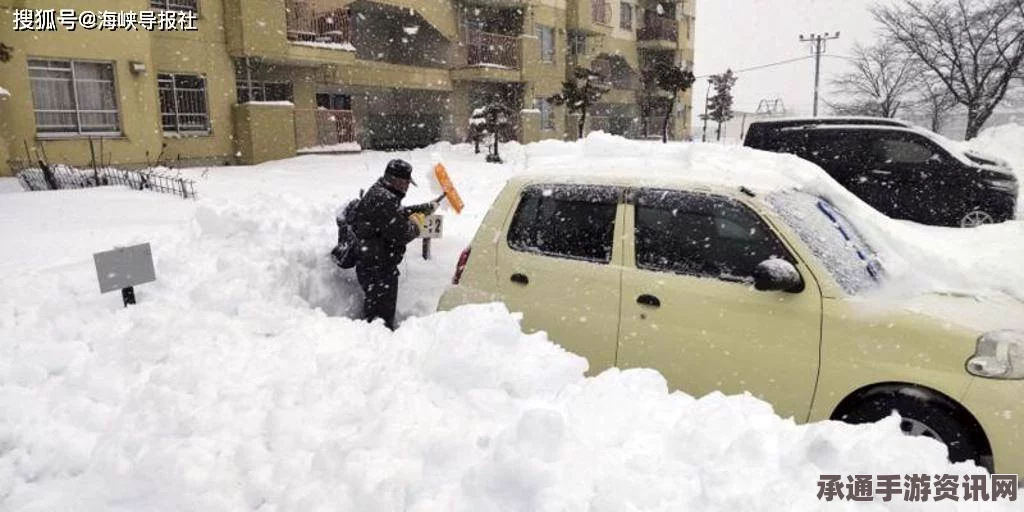 日本多地罕见强降雪引发严重灾害，应对技巧与应对方法探讨