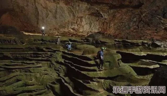 越南百年神鳖逝世引发全国震动，背后的故事与图片揭秘