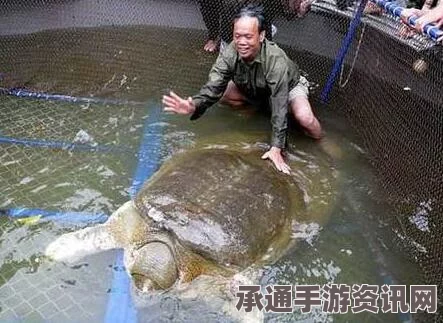 越南百年神鳖逝世，全国震动与背后的故事（附图）