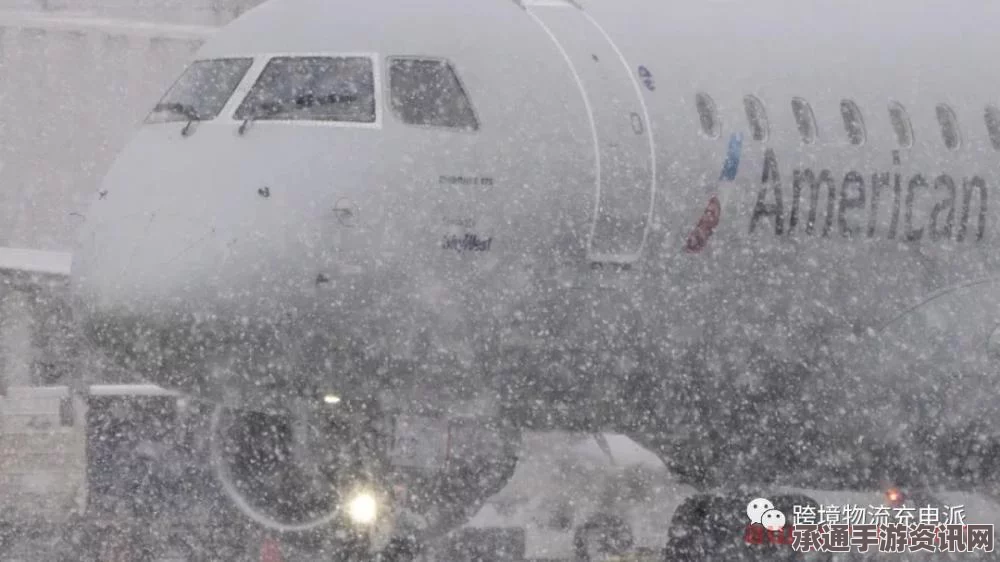 美国遭遇超强暴风雪袭击，多人伤亡，航班瘫痪——灾难应对技巧与方法探索
