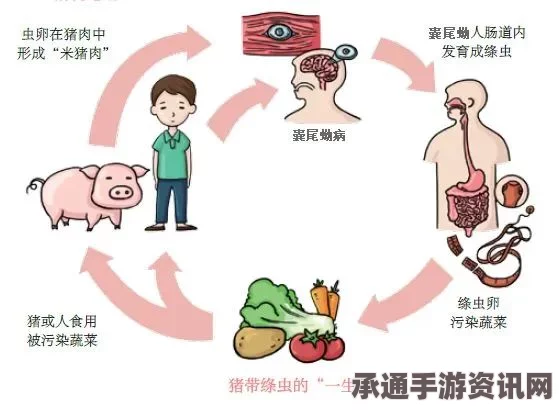 英国男子长期食用生牛肉引发绦虫感染，健康提示及预防策略