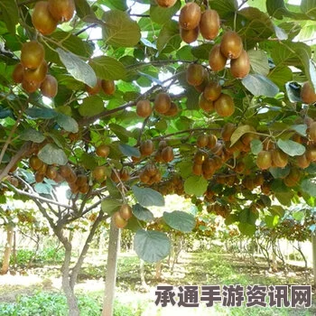 物华弥新果树双管瓶技能强度介绍及技巧方法详解