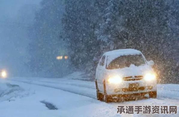 美东部强降雪应对指南，多州紧急状态下的生活应对技巧