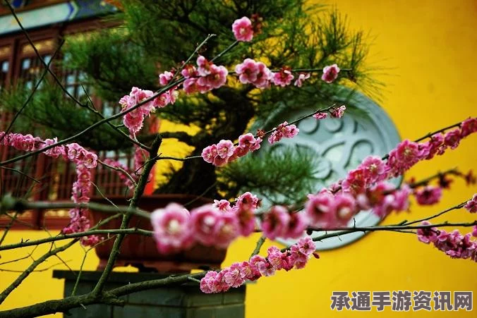 恶意不息，圣城买房攻略与推荐