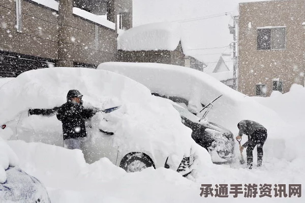 日本遭遇罕见暴风雪，北海道居民遇难——极端天气应对技巧与方法探讨