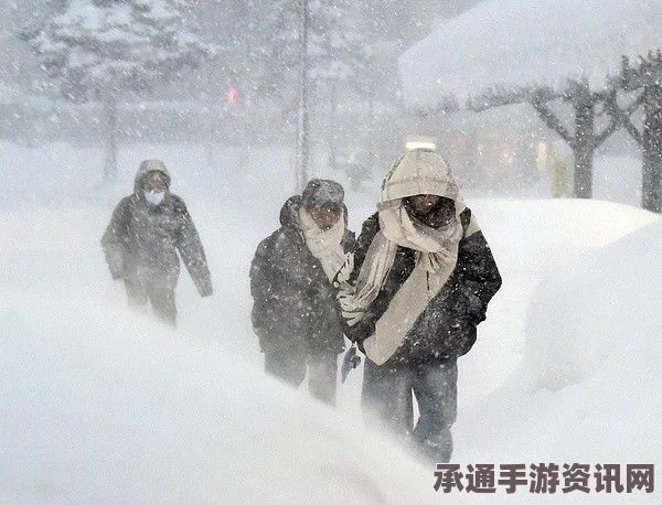 日本遭遇罕见暴风雪袭击，北海道一居民不幸身亡—应对极端天气的技巧方法