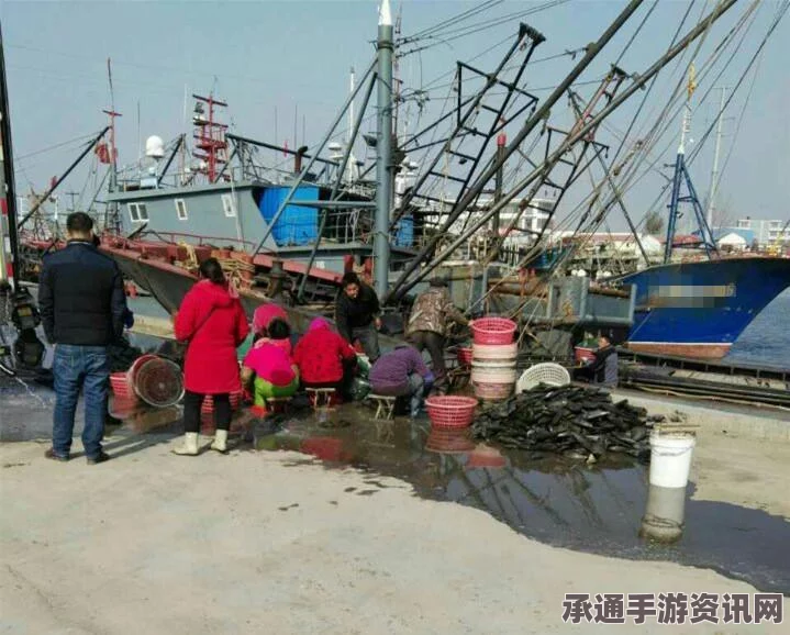 韩政府报告，今年申请在韩专属经济区捕捞的中国渔船数量减少4%解读应对策略与技巧方法