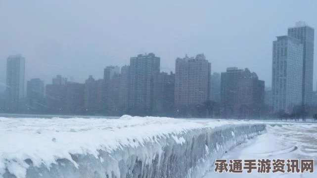 美国首都华盛顿严阵以待应对霸王级寒潮的实用方法与技巧