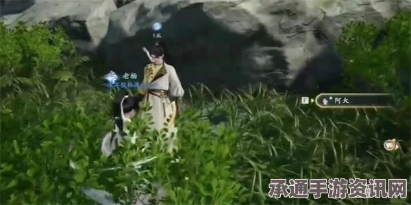射雕静修，深度解析收集方法与技巧