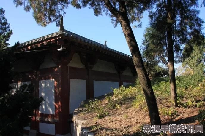 黑神话悟空百戏攻略，吊腿技巧深度解析与实战视频教程