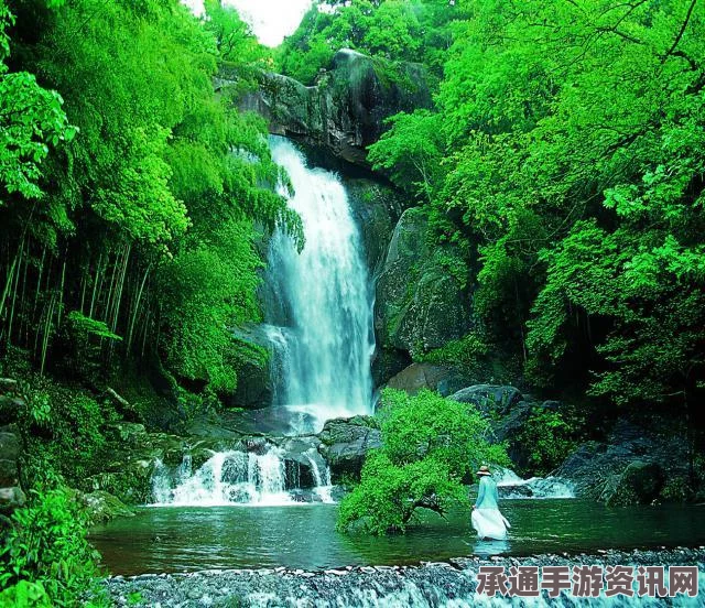 射雕飞瀑石收藏秘籍，收集方法与技巧详解