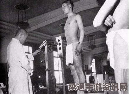 日本盛大庆祝活动，美国赴日游客首次突破百万，旅游技巧深度解析
