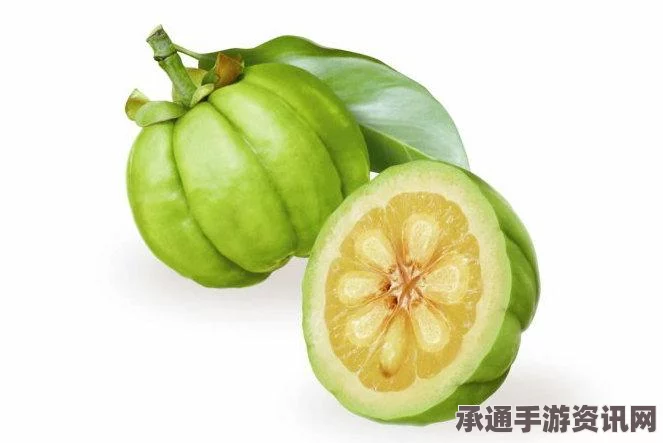泰国男子因肥胖遭朋友嘲笑，减肥过度疑似导致死亡，如何科学健康减重？