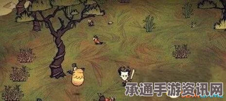 饥荒海滩新手入门指南，生存须知与全攻略详解