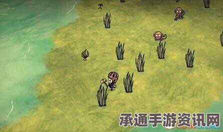 饥荒海滩新手全攻略及生存须知_从入门到精通的指南