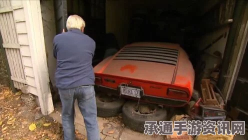 美国老人打造豪华猫舍，自己栖身锈迹拖车背后的故事与启示