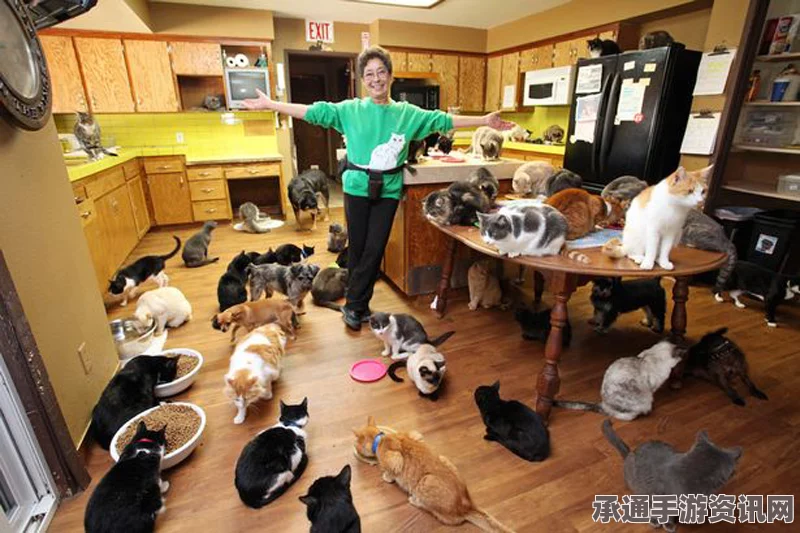 美国老人打造豪华猫舍，自己栖身锈迹拖车背后的故事与启示