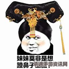 FGO超火表情包汇总，玩转图片大全，表情包使用技巧全解析