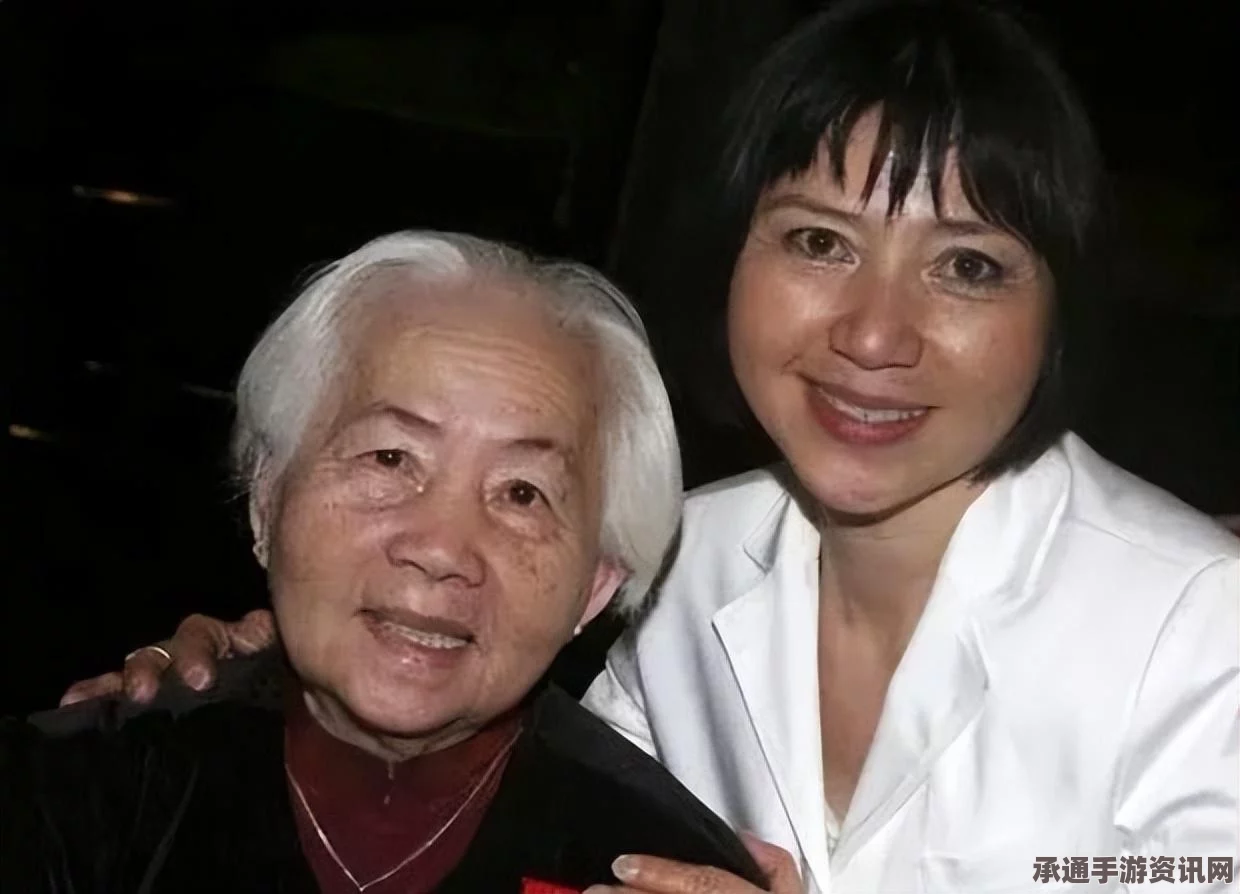 法国难民现象深度解析，现场直击记者遭抢劫事件，揭示背后的真相与应对策略（组图报道）