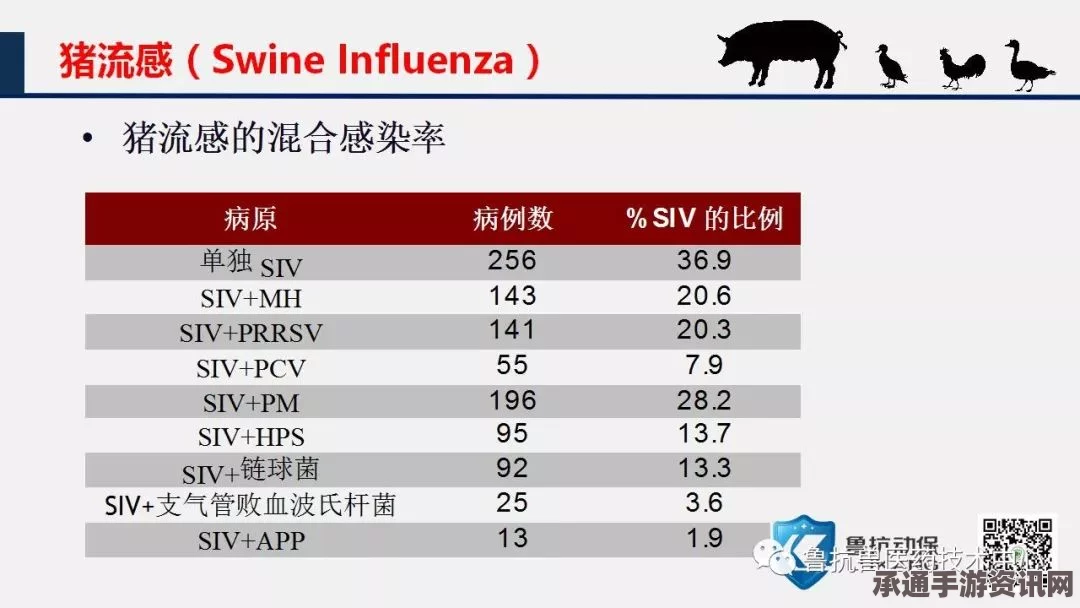 俄罗斯猪流感疫情爆发，应对方法与防治策略