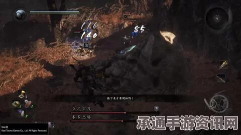 仁王支线任务攻略大全，流程解析与技巧方法全掌握