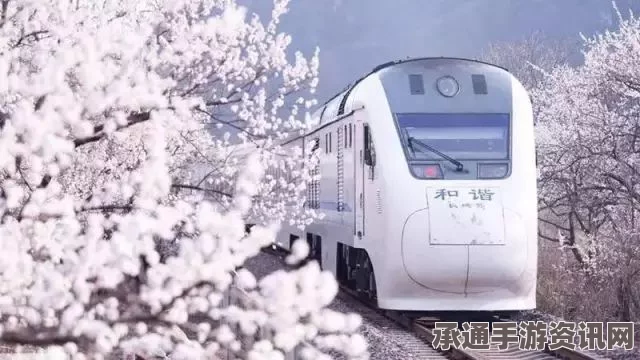 日本特快列车途中玻璃破碎事件，应对突发情况的技巧与方法