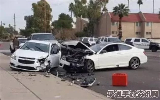 中国留学生遭遇车祸后被枪杀事件细节披露，嫌犯落网，背后揭示的自我保护技巧方法