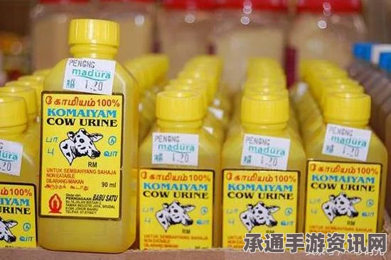 印度新德里治霾限行措施下的尾气减排挑战与应对策略